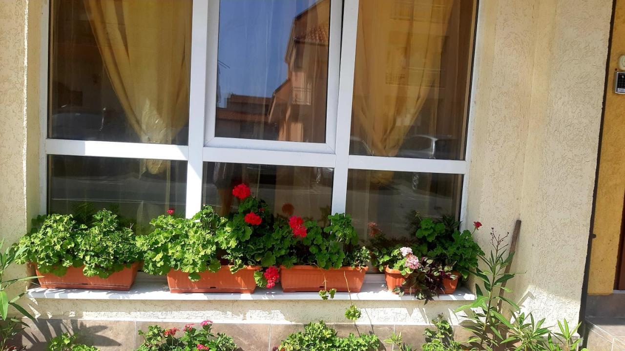 Къща За Гости Вълчеви Несебър Εξωτερικό φωτογραφία